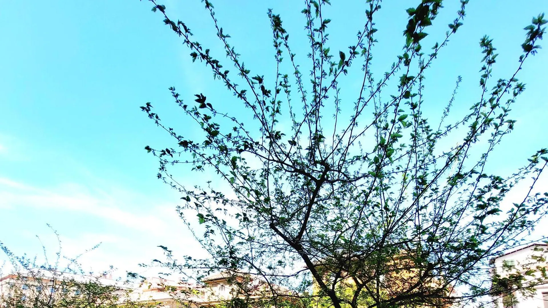 Vanity Apartment - 4 Bedrooms With 4 Bathrooms - Ac & Wifi Rome